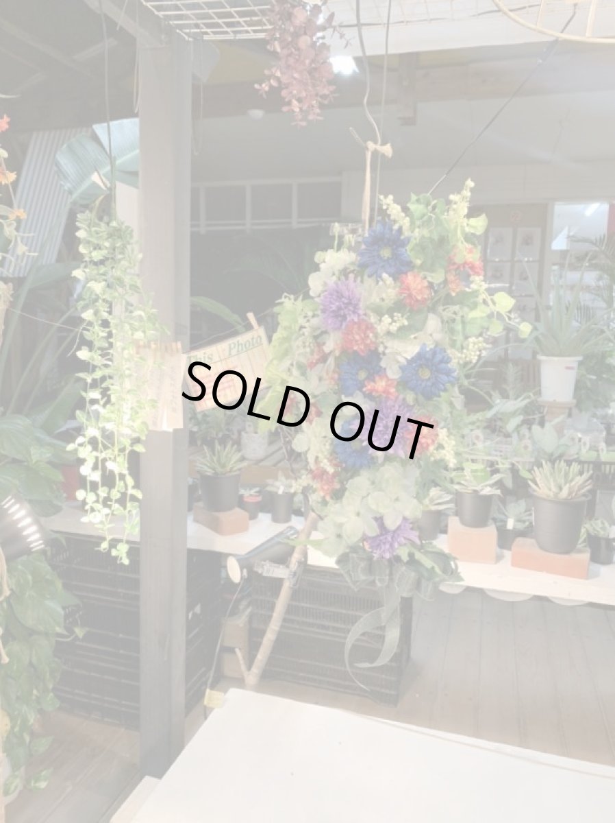 画像4: Colorful green (4)