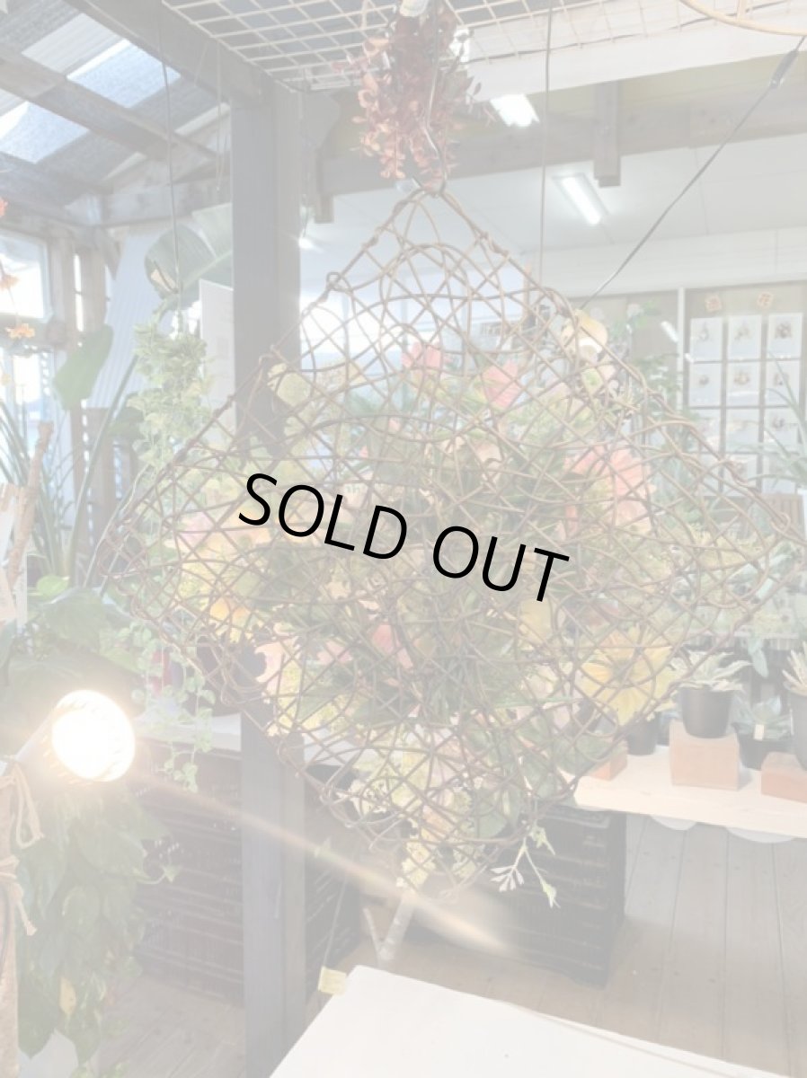 画像5: Spring　Window (5)