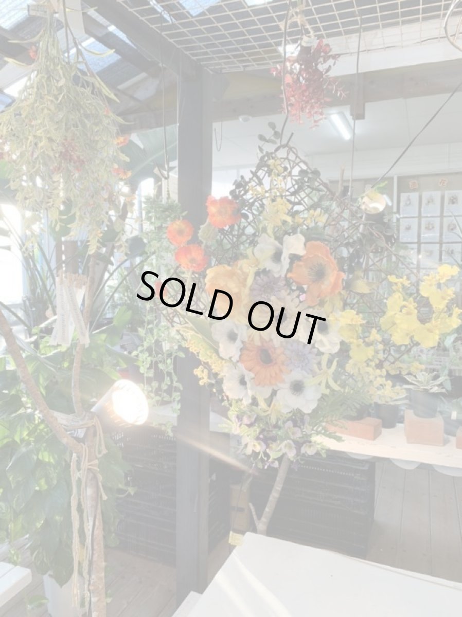 画像4: yellow　ｍagic (4)