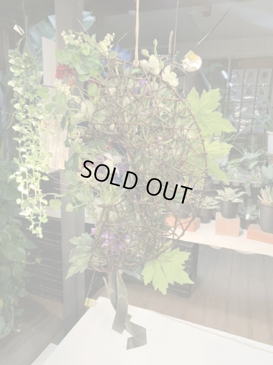 画像5: Colorful green (5)