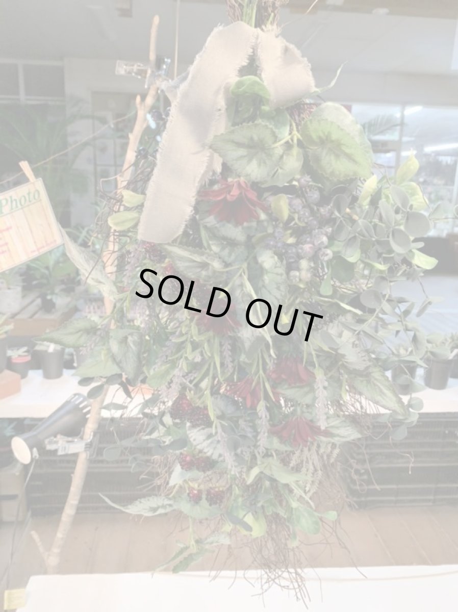 画像4: Natural gift (4)