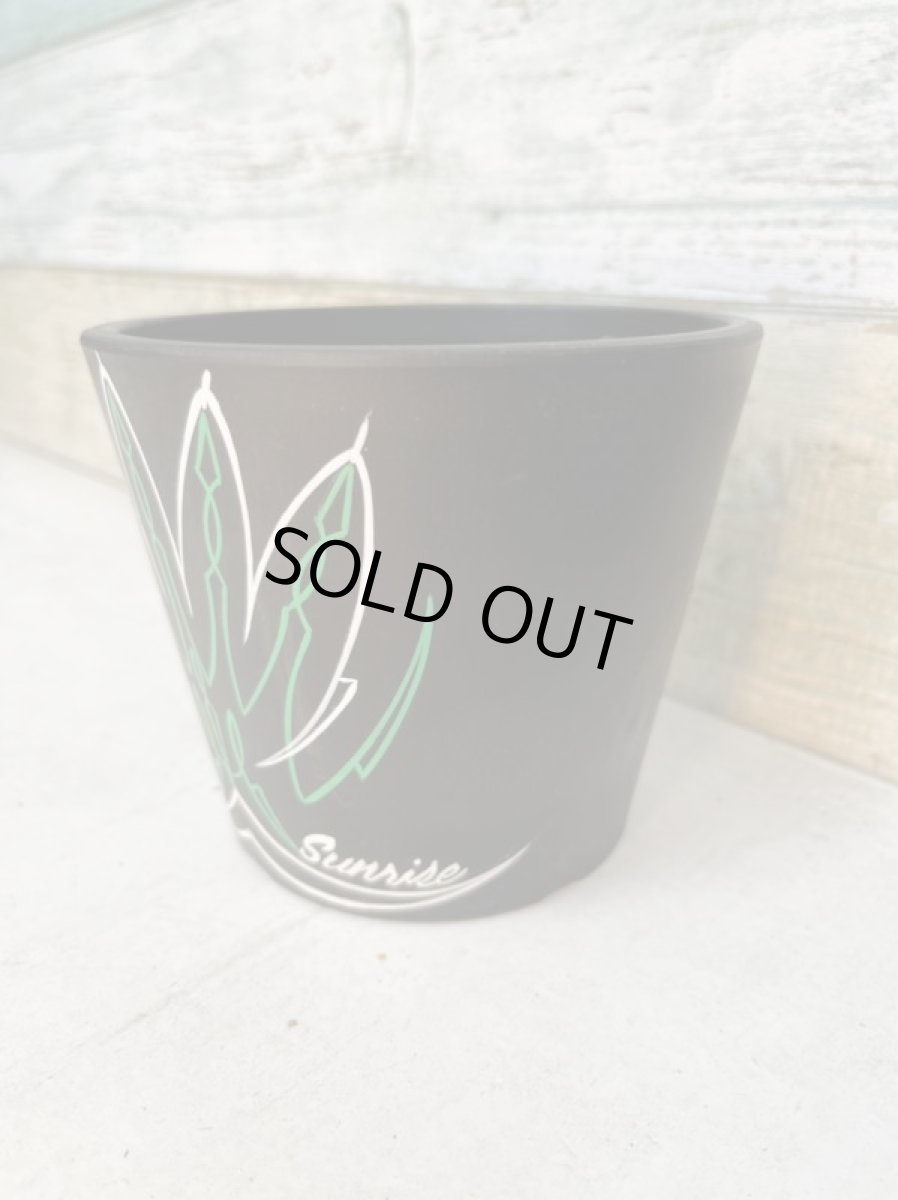 画像2: ペイント鉢（プラスチック鉢） (2)