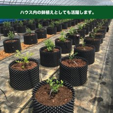 画像5: ルートプラスポット12L　50個セット (5)