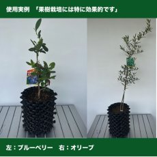 画像11: ルートプラスポット18L　50個セット (11)