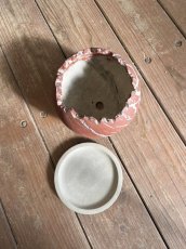 画像2: ヒロハシポット（陶器鉢） (2)