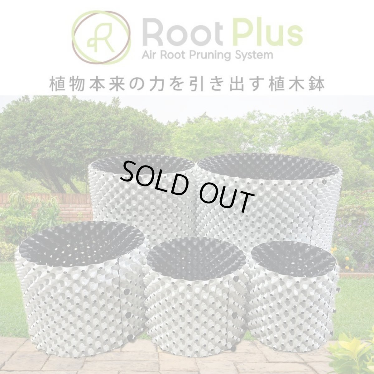 画像1: ルートプラスポット（ホワイト）60L (1)