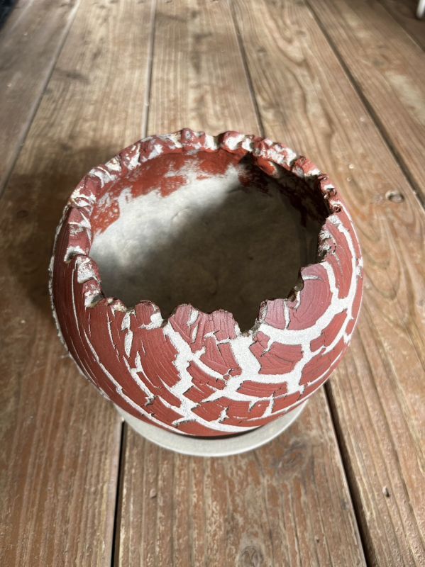 画像1: ヒロハシポット（陶器鉢） (1)